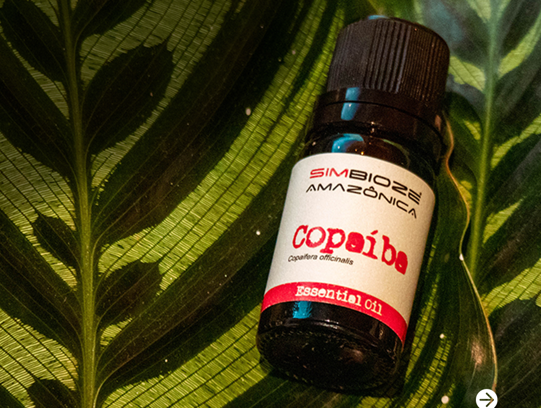 שמן אתרי קופאיבה: כל מה שצריך לדעת על הסוד הטבעי לבריאות ואיזון