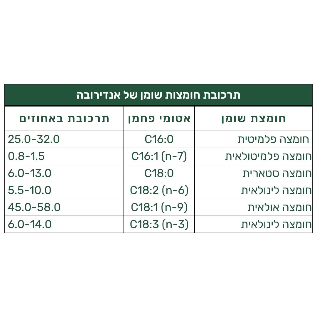 שמן אַנְדִירוֹבָּה