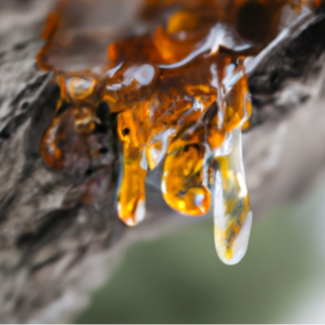 שמן אתרי קוֹפָּאִיבָּה