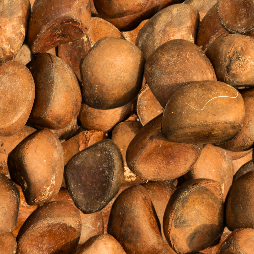 שמן אַנְדִירוֹבָּה