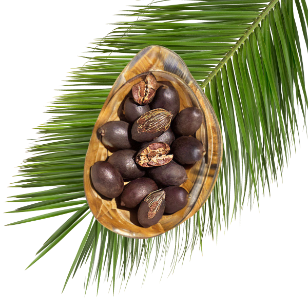 שמן פָּאטָאוָּה